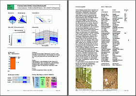 Beispiel Spezielle Information zu den Waldstandorteinheiten